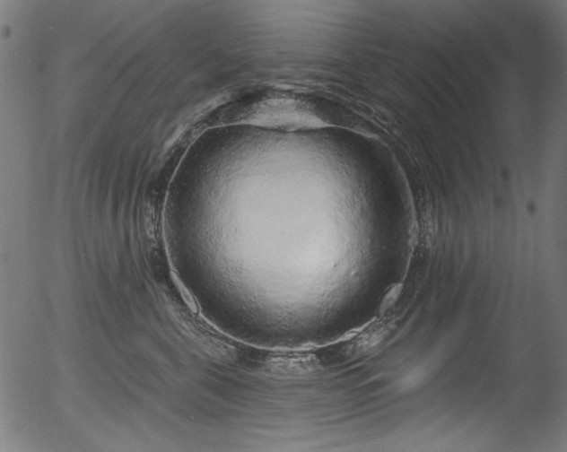 X0000056370571200508291404