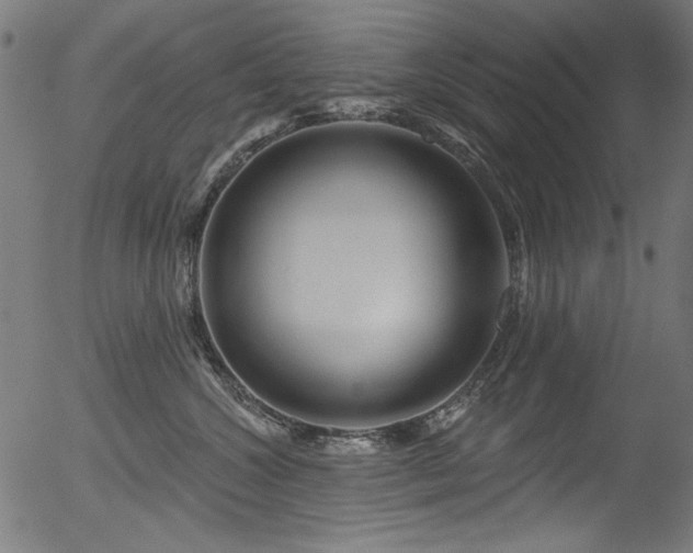 X0000056370572200508291404