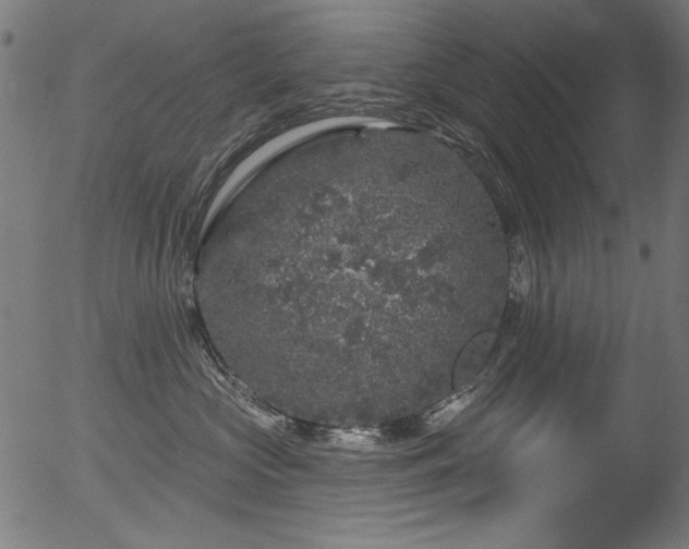 X0000056370573200508291404