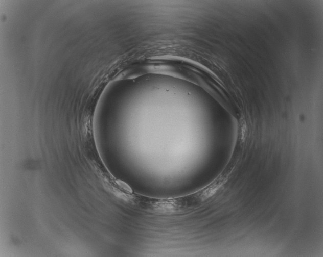 X0000056370574200508291404