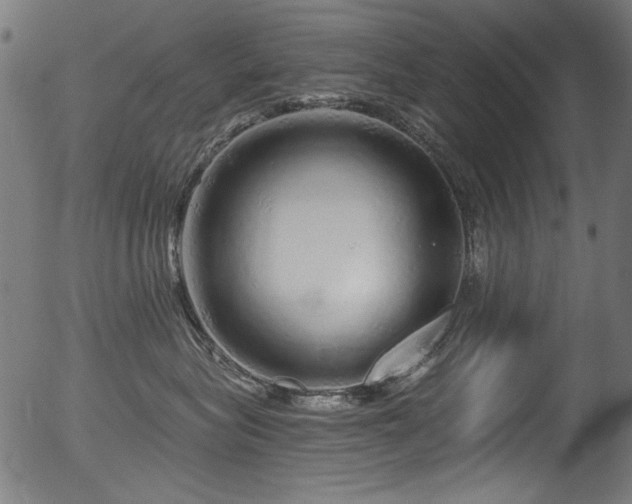 X0000056370575200508291404