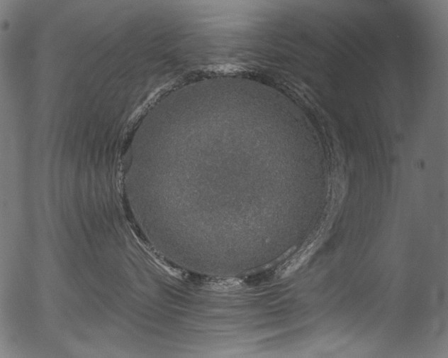 X0000056370576200508291404