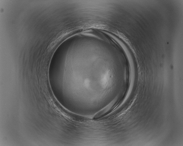 X0000056370577200508291403