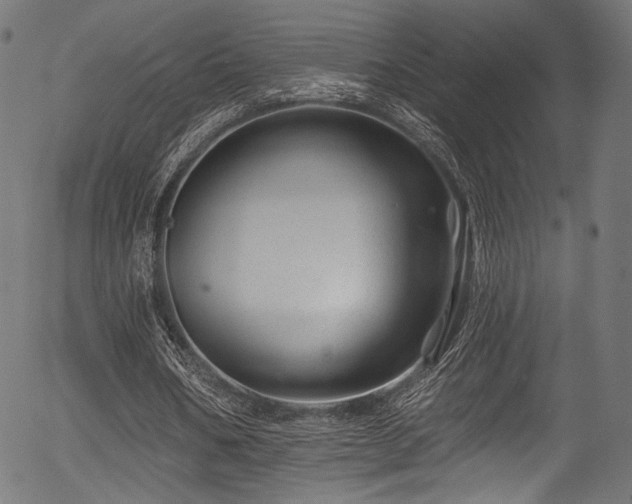 X0000056370578200508291403