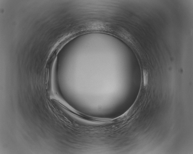 X0000056370579200508291403