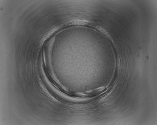 X0000056370581200508291403