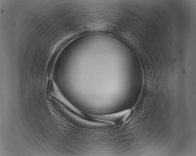 X0000056370583200508291403