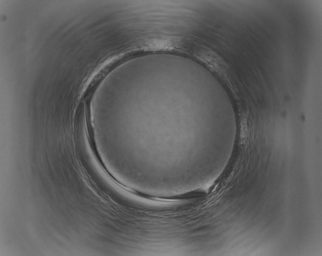 X0000056370584200508291403