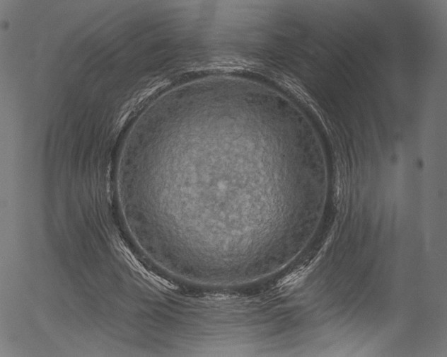 X0000056370585200508291403