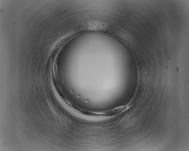 X0000056370587200508291403