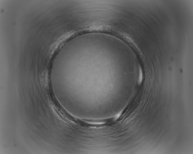 X0000056370588200508291403