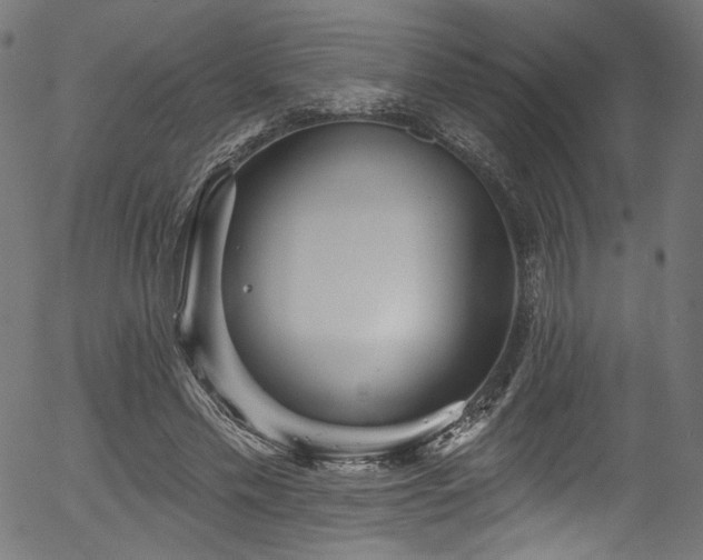 X0000056370589200508291403