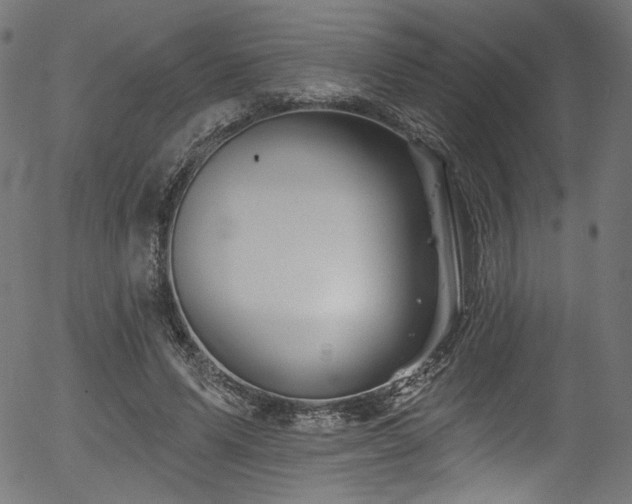 X0000056370591200508291403