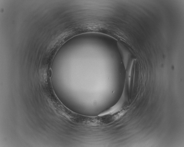 X0000056370595200508291403