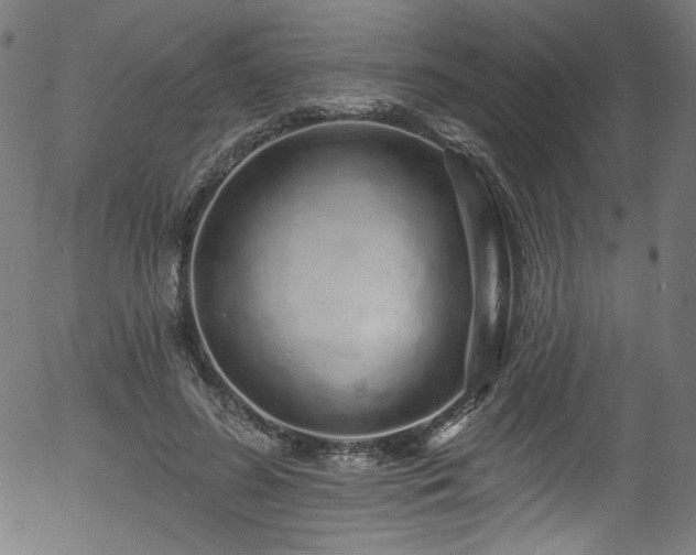 X0000056370596200508291403