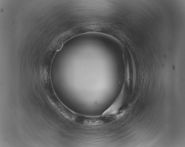 X0000056370597200508291403