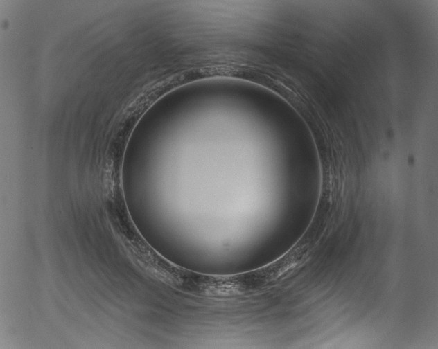 X0000056370599200508291403