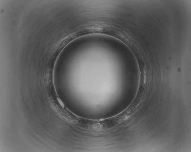 X0000056370600200508291403