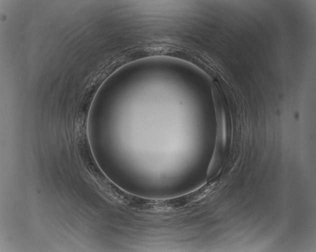 X0000056370601200508291403