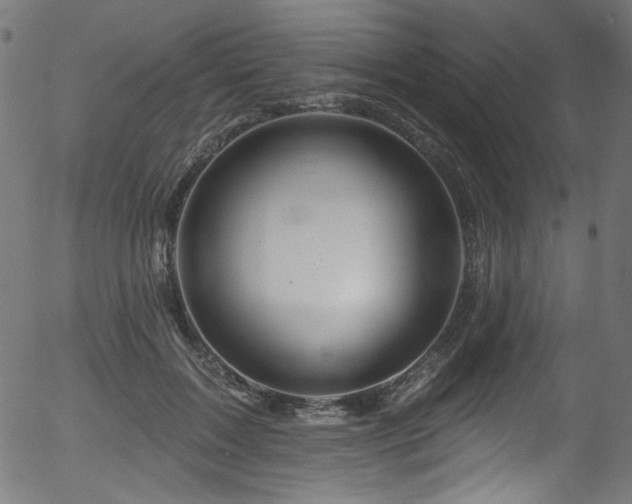 X0000056370603200508291403