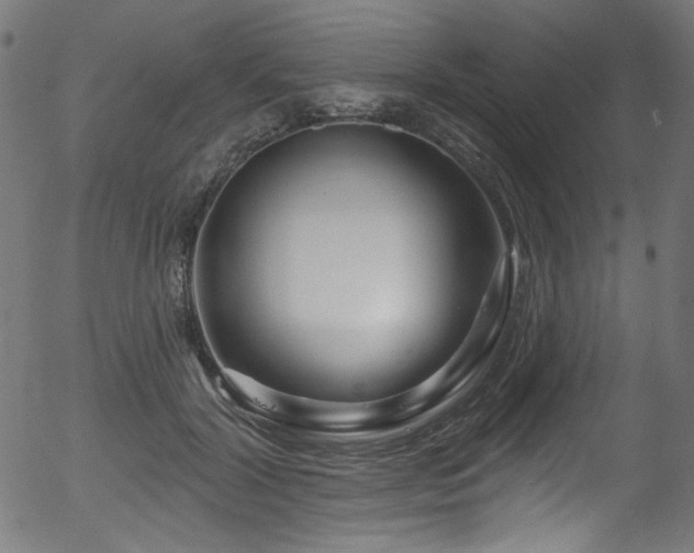 X0000056370604200508291403