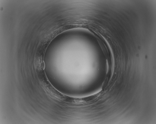 X0000056370605200508291403