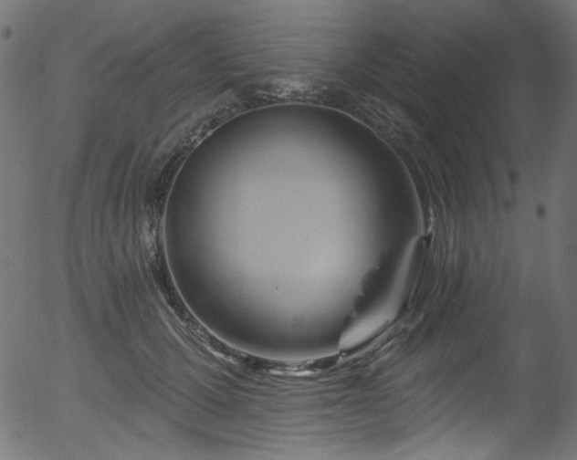 X0000056370607200508291403