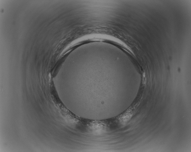 X0000056370608200508291403