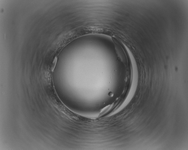 X0000056370609200508291403