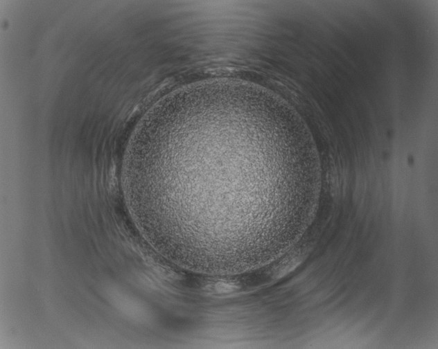 X0000056370610200508291403