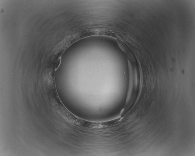 X0000056370611200508291403