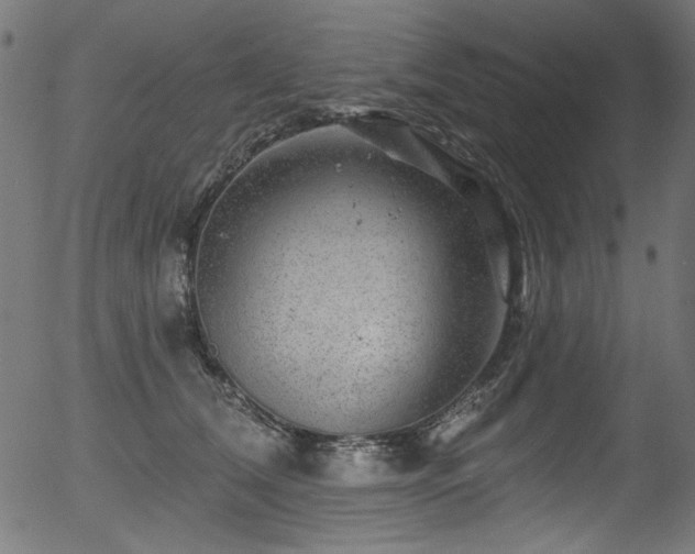 X0000056370612200508291403