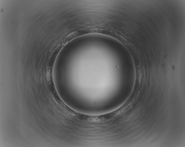 X0000056370613200508291403