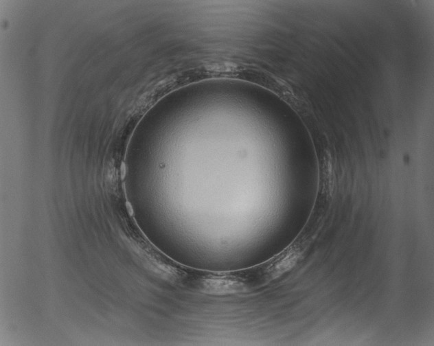 X0000056370614200508291403