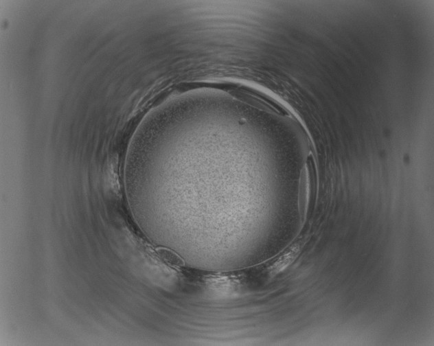 X0000056370616200508291403