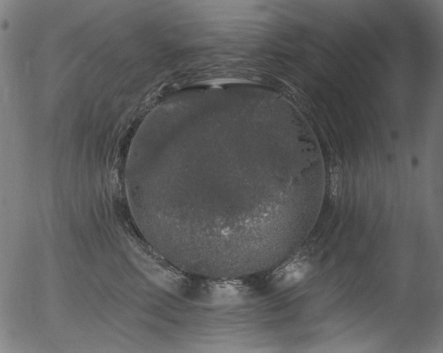 X0000056370618200508291403