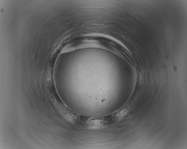 X0000056370620200508291402