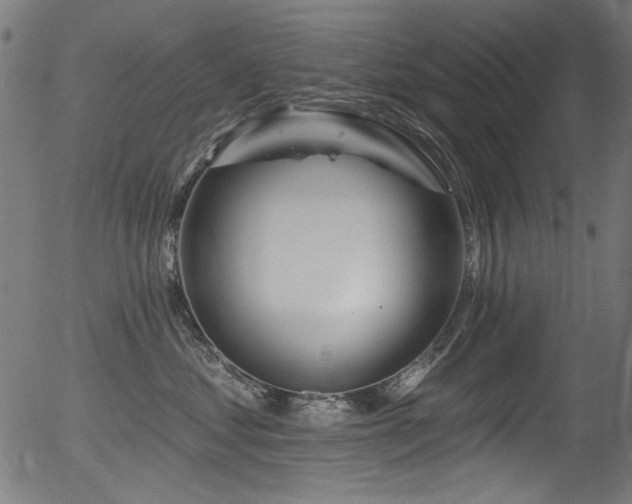 X0000056370621200508291402