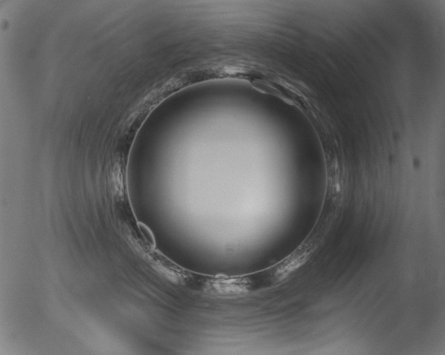 X0000056370622200508291402