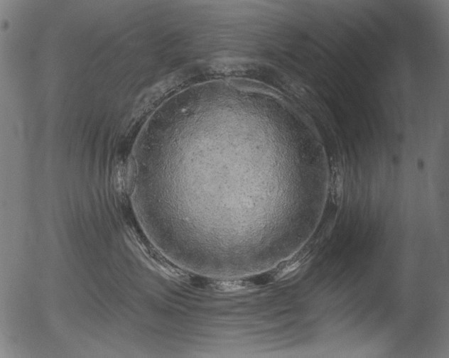 X0000056370623200508291402