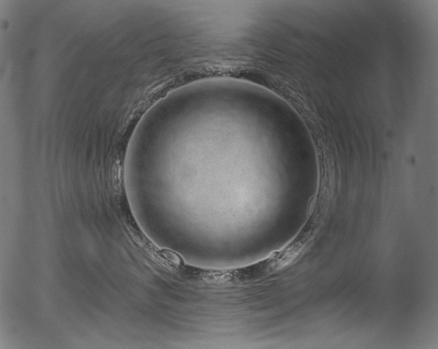 X0000056370624200508291402