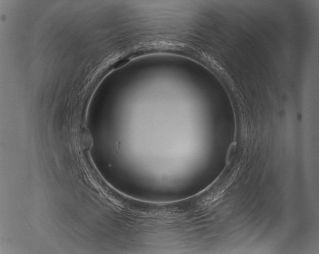 X0000056370625200508291402