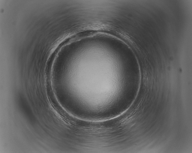 X0000056370626200508291402