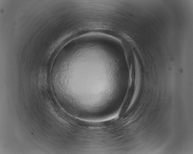 X0000056370627200508291402