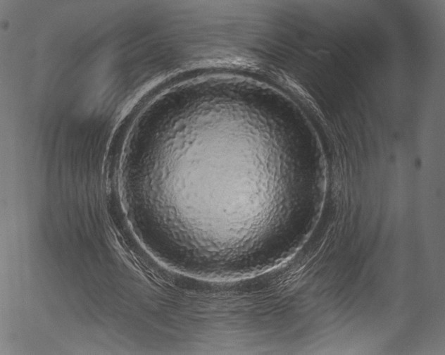 X0000056370628200508291402