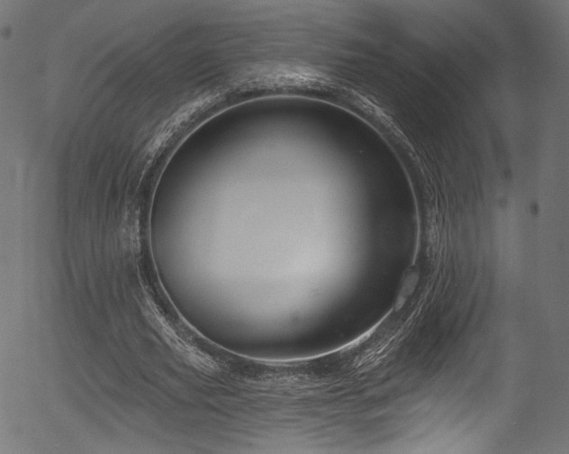 X0000056370629200508291402