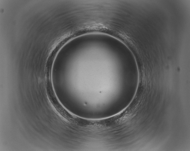 X0000056370630200508291402