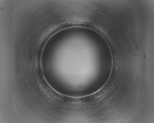 X0000056370631200508291402