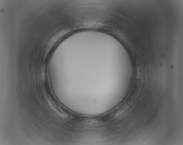 X0000056370632200508291402