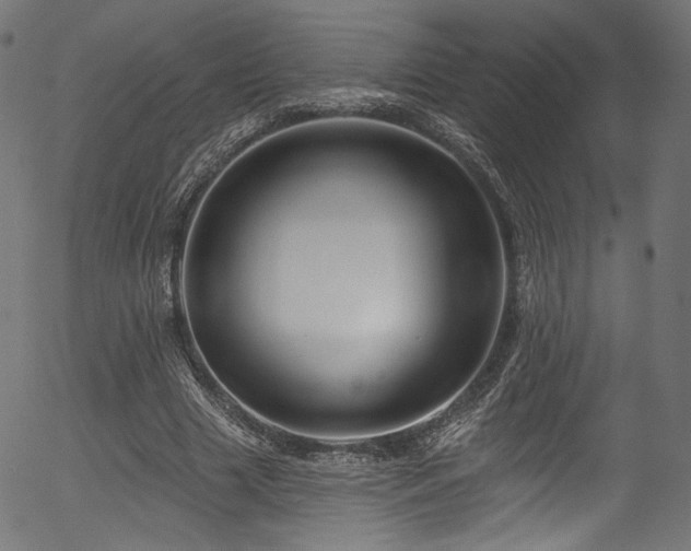 X0000056370633200508291402